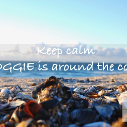 Keep calm, “Booggie” is around the corner!